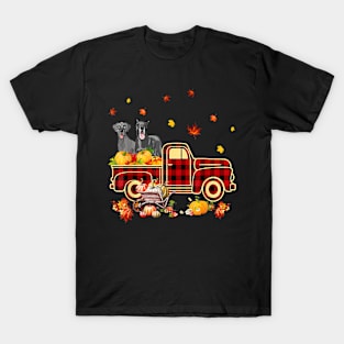 Great Dane Pumpkin Truck Fall Leaf Thanksgiving Halloween T-Shirt